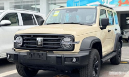 国产精品300,匠心独运，品质卓越的匠心之作